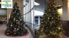 Holiday Office Transformation with Christmas Tree Decoration