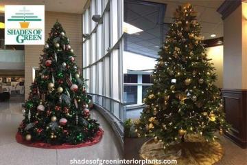 Holiday Office Transformation with Christmas Tree Decoration