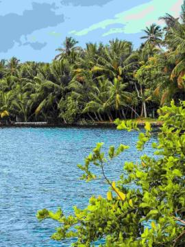 Top Tourist Destinations in the Backwaters of Kerala Beyond Alleppey
