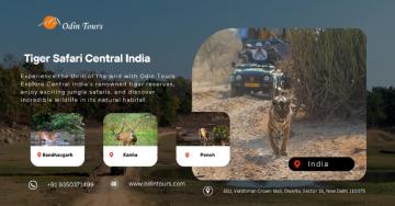 Golden Triangle Tour with Ranthambore