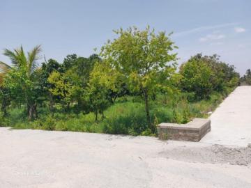 Premium Farm Units for Sale Near Ghati Subramanya Road – Doddaballapura