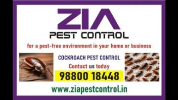 Cockroach Treatment | Professional and Effective service | Call Us Today | 690