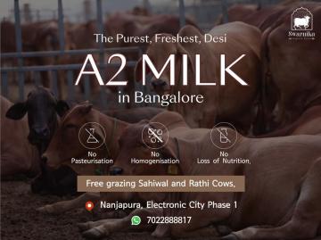 Farm-fresh A2 milk home delivery in Bangalore