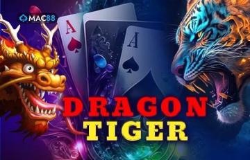 Cricbet99 WhatsApp Number: Customer Support, Account Assistance, and Gaming Information