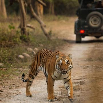 Best Weekend Getaways Near Delhi for Relaxing Escapes