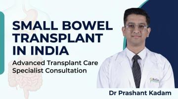 Small Bowel Transplant in India – Expert Consultation and Advanced Transplant Care