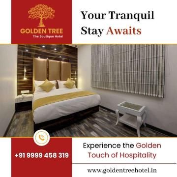 Best Place to Stay in Noida – Book a Premium Stay at Golden Tree Hotel