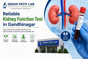Reliable Kidney Function Test in Gandhinagar - Nidan Path Lab