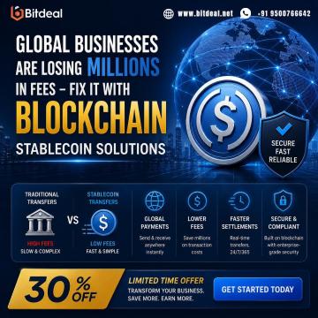 Global Businesses Are Losing Millions in Fees - Fix It with Blockchain Stablecoin Solutions – Get 30
