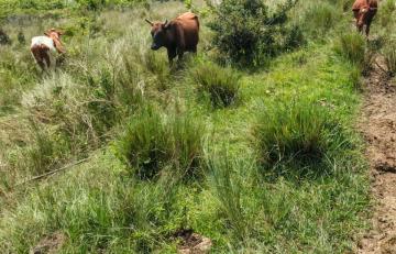 10,000 Acres for Sale in Kajiado County, Kajiado West, Kenya Ksh. 300,000/Acre
