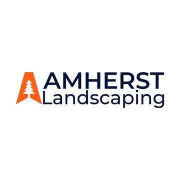 Professional Sod Installers Near Me for a Beautiful Lawn