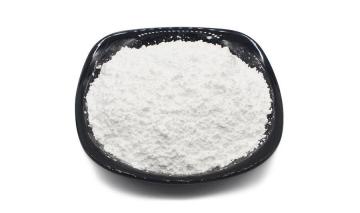Attapulgite Powder Supplier in India