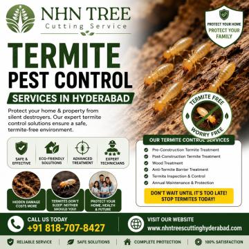 Termite Pest Control Services in Hyderabad