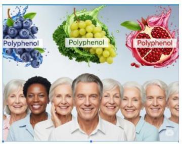 Wellness and Business, Learn About It Here