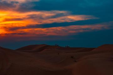 Desert Safari in Liwa Oasis - Abu Dhabi