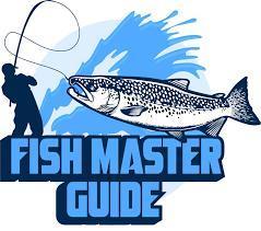 trout fishing lake michigan​