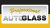 Professional Auto Glass