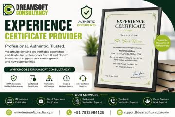 Experience Certificate Provider in Punjab | Dreamsoft