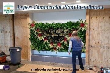 Expert Commercial Plant Installation & Gardening Supplies in New Jersey