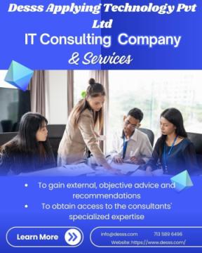 Expert IT Consulting Services in Dallas