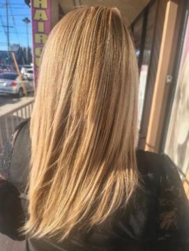 HS hector salon #2