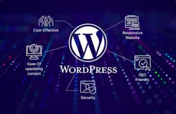 Professional WordPress Development Services by Vega Technologies LLC
