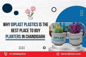 Buy Planters in Chandigarh