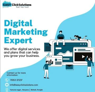 Digital Marketing Company in Yamunanagar: SEO, Social Media & More