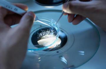 API Manufacturer & CDMO Services | SCL Lifesciences