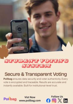 Online voting system
