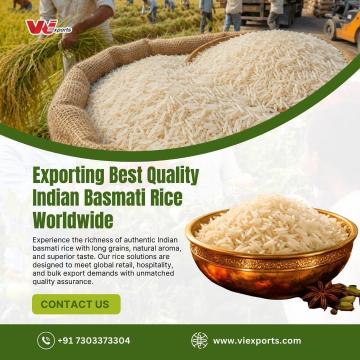 Indian Basmati Rice Exporters