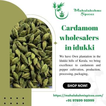 Are you looking for Cardamom Wholesalers In idukki , kerala?