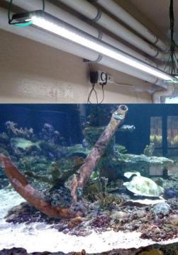 Industrial Led Lighting Retrofitting near Cerritos