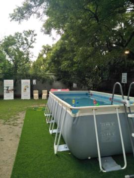 Pet boarding service in New Delhi