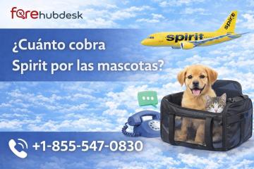 Cómo añadir una mascota a un vuelo de Spirit Airlines