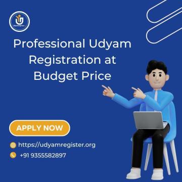 Professional Udyam Registration at Budget Price