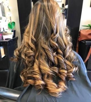 HS hector salon #2