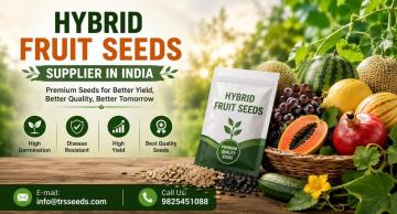 Trusted Source for Hybrid Fruit Seeds in India