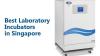 Best Scientific Incubators in Singapore for Research Labs