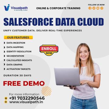 Salesforce Data Cloud Online Training with Experts