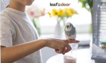LeafnDeor Bird Toys Wholesale for Pet Businesses