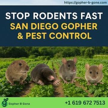 San Diego Gopher & Rodent Control – Trusted Since 1991