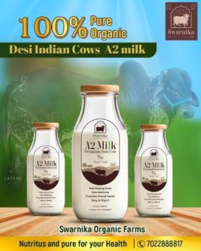 Pure A2 Desi cow Milk delivery in Electronic City Bangalore