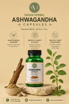 Your Daily Ayurvedic Wellness Companion