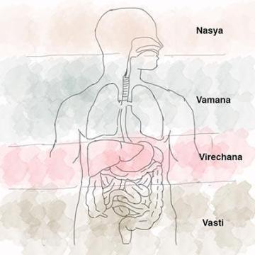 Holistic Treatment for Anxiety NYC – Personalized Wellness Support
