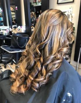 HS hector salon #2