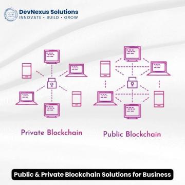 Public & Private Blockchain Solutions for Business