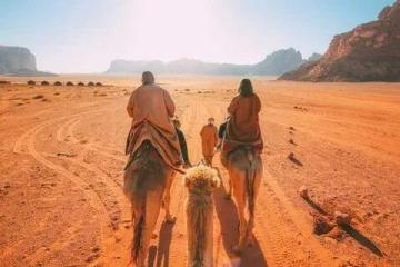 Best Jordan Trip Planner for Authentic Travel Experiences