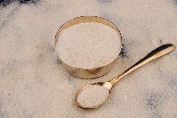 Gayatri Psyllium Industries - Psyllium Husk powder manufacturers in India