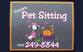 Banners Near Laguna Niguel